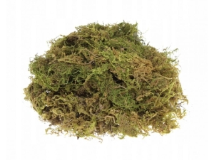 Mech dekoracyjny sypki 30 gr