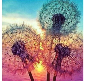 Haft diamentowy mozaika H16212