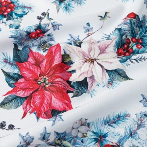 Tkanina Gwiazda Betlejemska ( 1 mb )