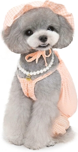 Koszula dla psa kombinezon z czapką POMARAŃCZ (L)