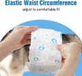 71dgllrvNxL._AC_SL1500_.jpg
