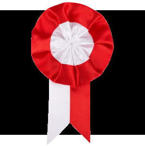 Kotylion Narodowy 80mm x 135mm z szarfą