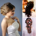 810d2djSHEL._SL1500_.jpg
