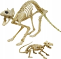 Dekoracje-szkieletu-kota-i-szczura-na-Halloween-rekwizyt-upiorne.jpeg