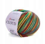 Włóczka YarnArt CLOUD  5321