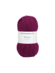 Włóczka Schachenmayr Bravo Softy ( 08045 )