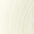 papatya-angora-ekri.jpg