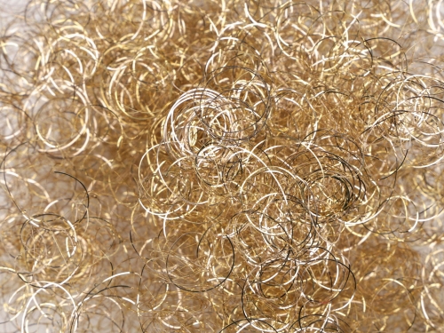 780173_242792_1.jpg