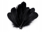 Pióra gęsie naturalne czarne 14-18 cm 10 sztuk
