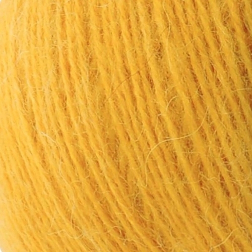 angora-8740.jpg