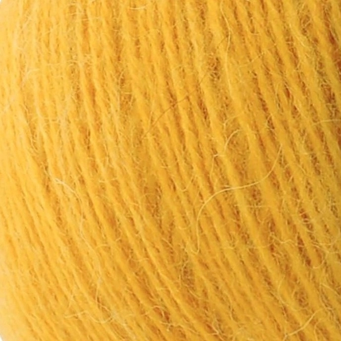 angora-8740.jpg