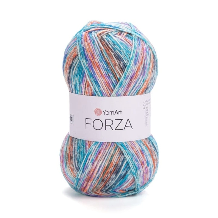 forza-2610.jpg