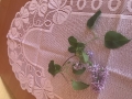 IMG_9103.jpeg