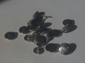IMG_9172.jpeg