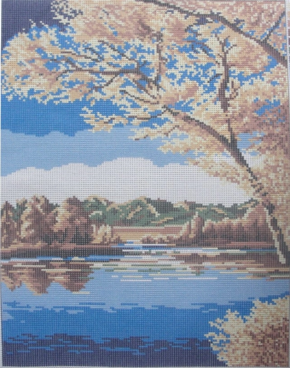 35900592.jpg