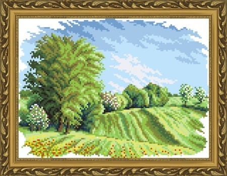 35906725.jpg