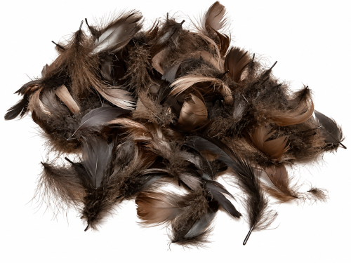 0da0056b-a0c6-4ca8-b350-d047e9c8f974.png