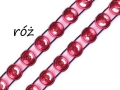 roz.jpg