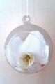 730519_9610i.jpg